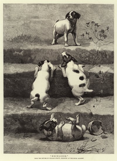 نجارة بواسطة وليام سترات